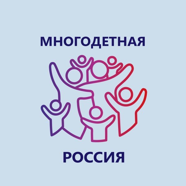 Спортивный фестиваль "Здоровая семья-сильная Россия", в рамках проекта "Многодетная Россия"