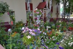  Городской конкурс на лучшее оформление двора «Зеленый дворик»,  посвященный Дню города Мегиона 0+