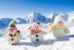 Положение о городском конкурсе      "Парад снеговиков 2016" 6+