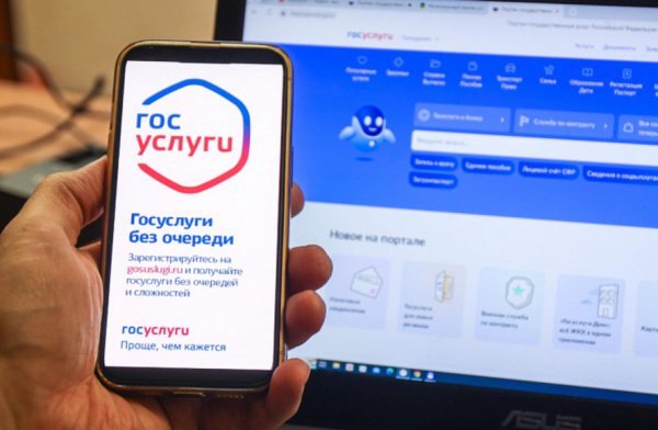 Новый цифровой сервис для участников СВО на Госуслугах