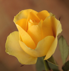 0_5e870_6fe4f952_orig.jpg