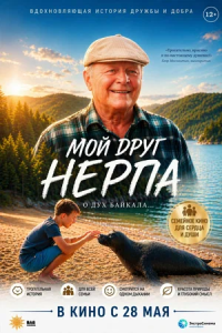 Мой друг нерпа 